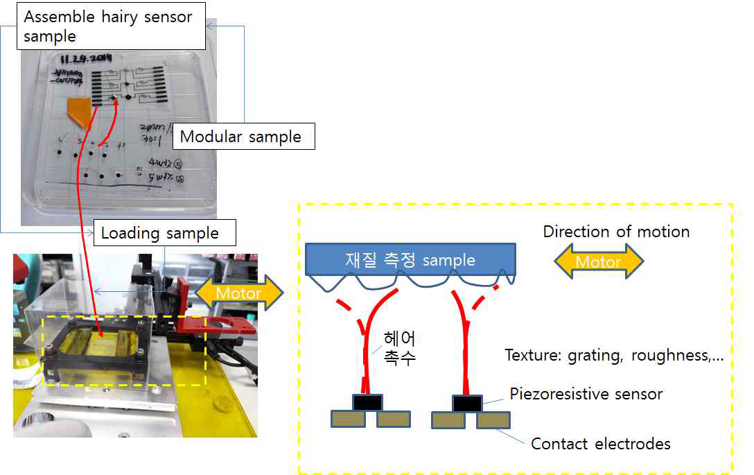 헤어리센서의 전체 모듈화로 쉽고 빠르게 착탈식 조립방식하는 모듈화 및 시료의 표면을 감지할 주기적 운동의 1축 방향 선형모터 제어기 추가함(향후 y-축 스테이지를 추가하여 2D-motion을 감지할 수 있도록 검출력을 높일 예정)