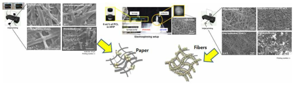 (a) 은전구체(AgCF3COO)와 환원제(hydrazine) 돌립잉크 카트리지, (b) 전기방사(electrospinning) 고분자 PCL 나노바이버 제조법을 이용한 인쇄전자용 전자종이 개발 (특허출원), (c) PCL 나노파이버에 은전구체의 환원에 때른 나노입자 형성 확인