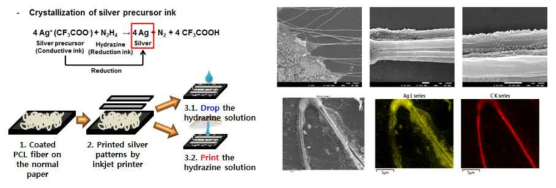 (a) 액상황원 반응식 및 원리, (b) 전기방사 PCL 코팅, 은전구체/환원제 잉크 인쇄, (c) 유연성 고분자 PCL 나노파이버에 은전구체 잉크의 나노입자 결정의 생성과 성장을 EDS로 확인한 자료