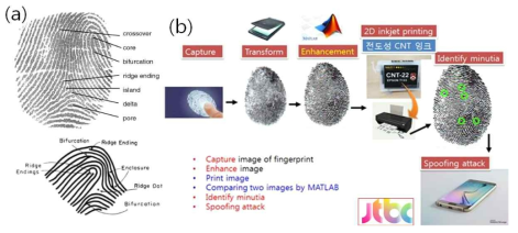 (a) 지문의 특성 마루와 골로 3차원 패턴은 개인 고유의 패턴으로 생체인식용 사용됨, 예를 들어 주민등록증, 스마트폰이나 출입문의 디지털 잠금장치 인식용, (b) 가정용 잉크젯 프린터로 전도성 잉크를 프린트하여 간단한 이미지 단순화 처리 후, 스마트폰(Galaxy6) 잠금해제 과정 (JTBC 보도)