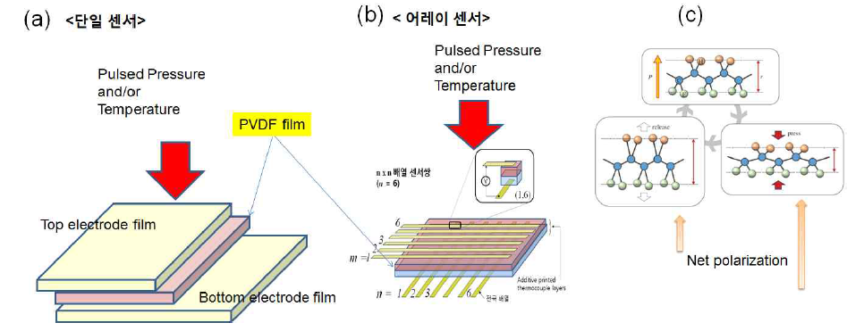 인쇄공정을 이용한, (a) 대면적 단일센서와, (b) 소면적 4 x 4 배열센서 인쇄제조, (c) 압전성 원리