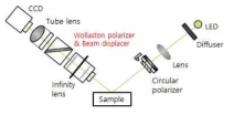 Wollaston polarizer & beam displacer를 이용한 IE 구성도