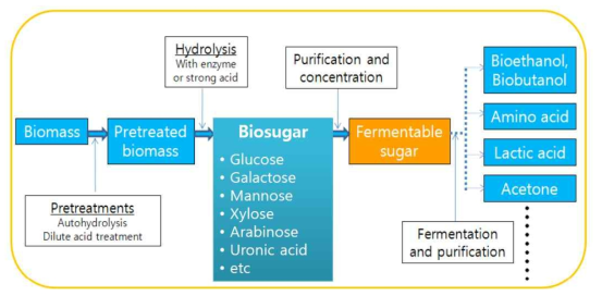 바이오매스로부터 바이오슈가 생산 기술 공정도