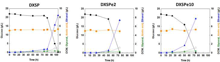DXSP(대조군)과 아세트산 내성 균주 (DXSPe2, DXSPe10)를 5g/L의 아세트산을 포함한 배지에서 배양한 발효 프로파일