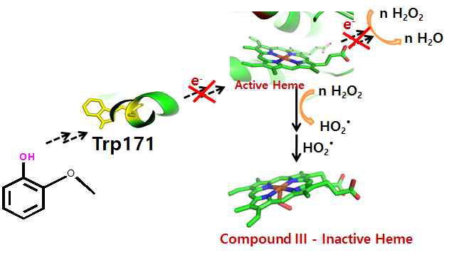 Free-hydroxyl 그룹을 가진 페놀릭 화합물에 의한 LiPH8 전자전달 불균형