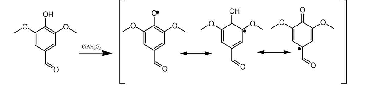 리그닌 분해물인 시린갈알데히드 효소 이용 재중합 모식도