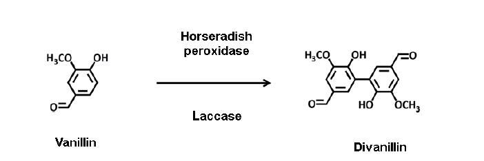 Peroxidase 및 laccase를 이용한 바닐린으로부터 divanillin 합성