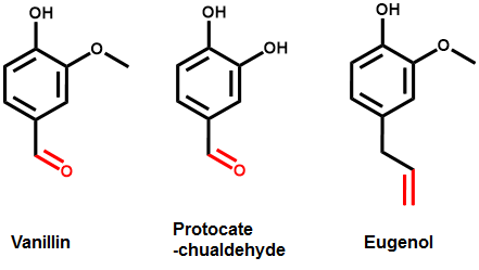 Vanillin, Protocatechualdehyde와 Eugenol의 유사 구조