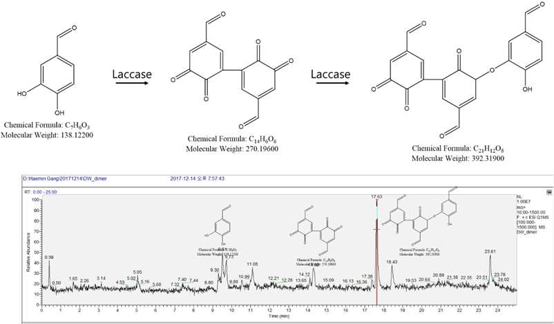 Protocatechualdehyde dimerization by T.V laccase