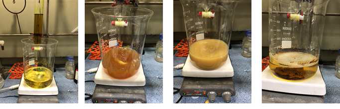 파일럿 스케일(gram scale)의 Dimerization of Eugenol