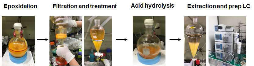 gram scale의 Eugenol hydroxylation 및 분리 정제 과정