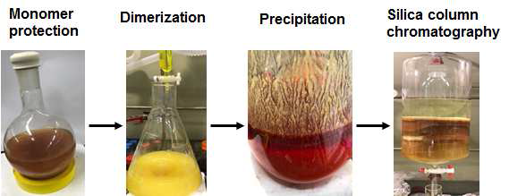 gram scale Eugenol gylcol dimerization 및 분리 정제 과정