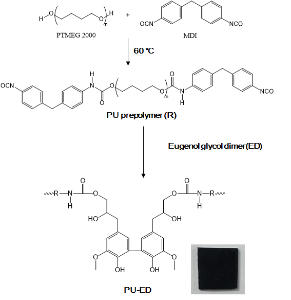 Eugenol glycol dimer를 이용한 polyurethane 합성 도식