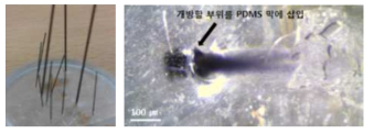 PDMS 삽입 마스킹