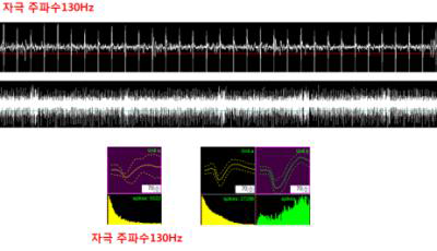 자극주파수에 따른 뇌신호 분석(130Hz)