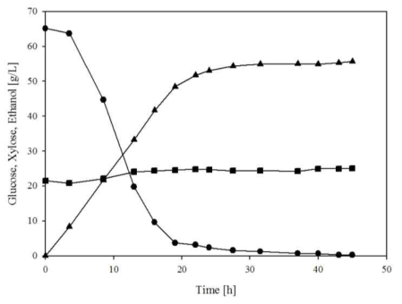 Angled-type impeller를 이용한 bench-scale 바이오에탄올 생산 설비 테스트 Glucose (●), xylose (■), ethanol (▲)