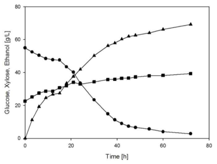 Angled-type impeller를 이용한 Pilot-scale 바이오에탄올 생산 설비 테스트 Glucose (●), xylose (■), ethanol (▲)
