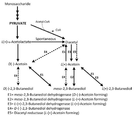 2,3-BDO 이성질체 생산 Pathway (Biotech. Advs., 2011, 29:351-364)