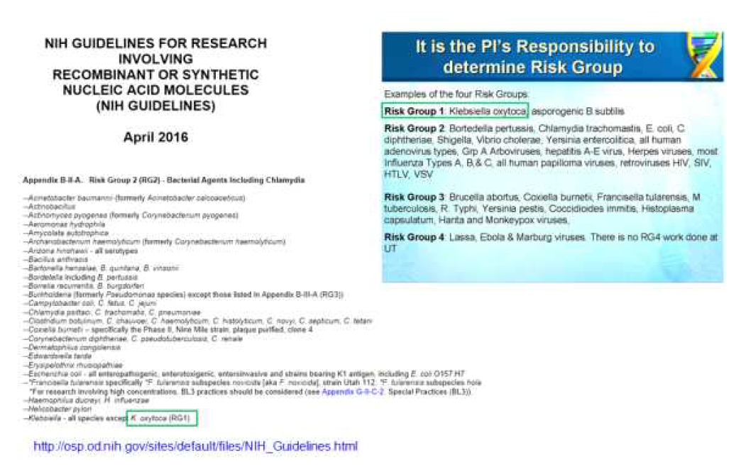 NIH에서 Risk group I으로 분류된 K. oxytoca