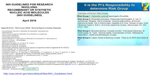 NIH에서 Risk group I으로 분류된 K. oxytoca (2차년도 보고서)