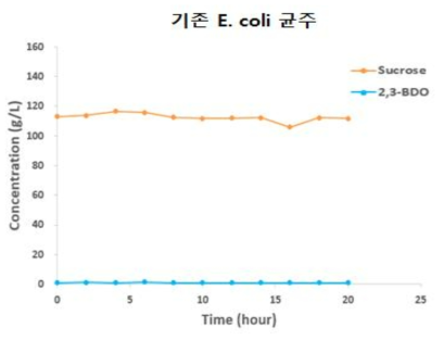 Sucrose 대사 관련 기존 E. coli 균주 발효 결과