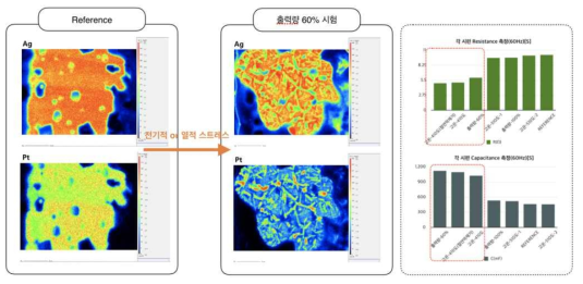 AlN Heater 발열체(AgPt) 거동 메커니즘 분석