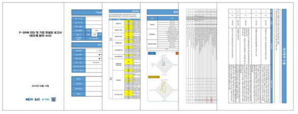 P-QRM 성장지원체계 적용 보고서