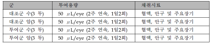 2주 반복 독성시험의 군 구성