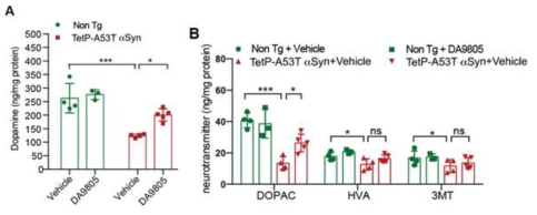 DA9805 treatment protects against α-synuclein overexpression-induced dopamine depletion in TetP-hA53T α-syn mice. (A and B) The (A) Striatal dopamine, and the (B) metabolite DOPAC, HVA, and 3-MT levels were analyzed by HPLC-ECD analysis at 6-month post injections. Statistical significance was determined by 2-way ANOVA with Tukey’s posttest of multiple comparisons. The data are presented as the mean ± s.e.m. ***p<0.001, *p<0.05, ns, not significant