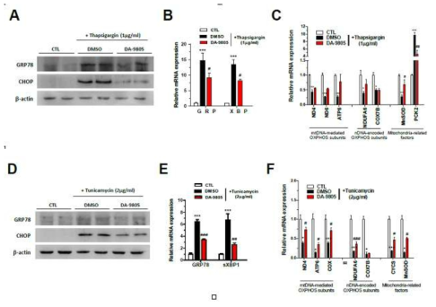 DA-9805 alleviated the expressions of ER stress markers, mitochondrial proteins induced by Thapsigargin, Tunicamycin in SH-SY5Y cells. (A, D). Western blots of ER stress markers, (B, E) Realtime qPCR of ER stress markers (C, F) Realtime qPCR of mitochondrial proteins (OXPHOS subunits and mitochondria-related factors