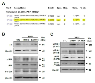DA-9805 suppressed pJNK in MPP+-induced SH-SY5Y cells