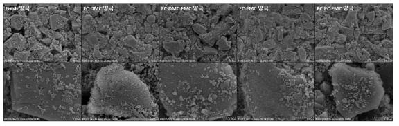 전해액 조성에 따른 양극의 표면형상 비교 (SEM)