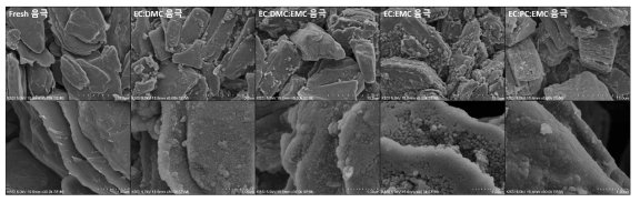 전해액 조성에 따른 음극의 표면형상 비교 (SEM)