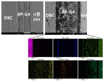 DBC/BP-G4/n-HH 접합 테스트 결과