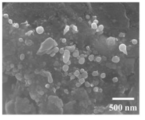 소결체 내 Metal Acetate