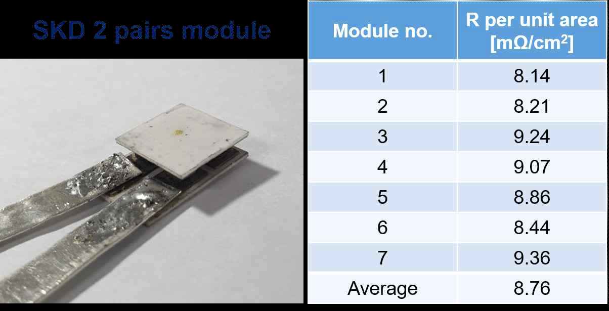 SKD 2쌍 모듈 단위면적 저항
