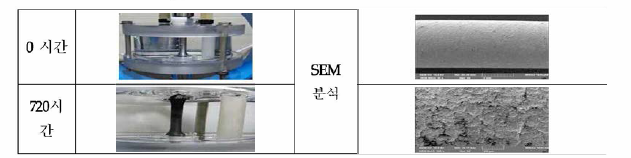 극한 부식 (COz) 환경에서 부식 시험 및 SEM 분석