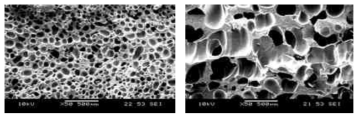 탈크 기반 소재와 나노클레이 기반 소재의 셀 형상 비교