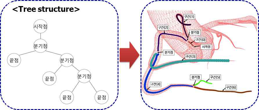 혈관 분기의 트리 구조를 통한 구간별 상하관계 구성