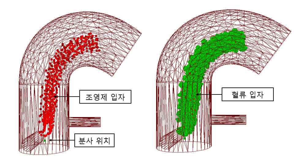 대동맥 부분의 조영제 시뮬레이션