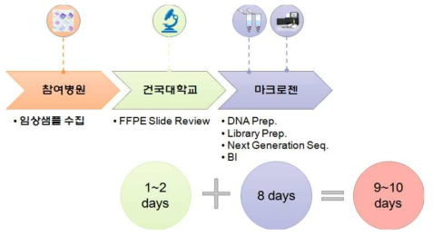 개선된 암패널 검사 소요일