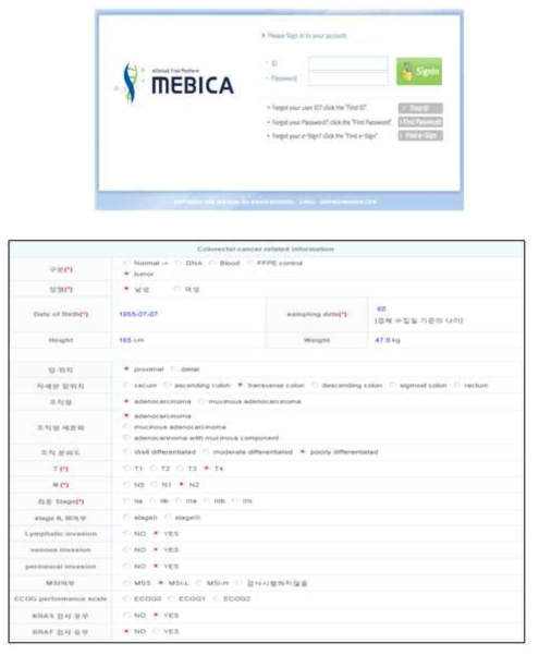 MEBICA 사이트 및 입력정보 예시