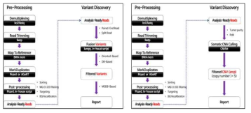 최종적으로 구축된 Fusion, CNV analysis pipeline