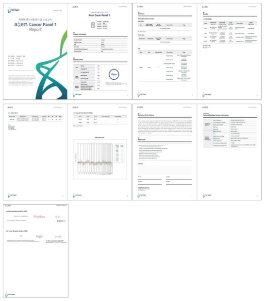 암패널 리포트 예시