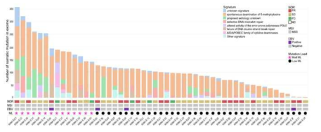 GC 환자의 돌연변이 스펙트럼 (N = 51)