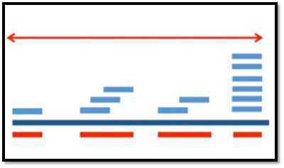 Sequencing Coverage