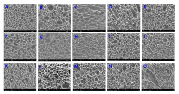 SEM of Lignocellulosic polyurethane(PU)-foam cells, developed according to a central composite design(CCD) of the experiments of lignocellulosic PU-foam preparation, suggested in Table 1 where experimental conditions of RUN 1 to 17 according to CCD were proposed, observed on the surface of the PU-foam samples by field emission SEM(scanning electron microscope, Hitachi, S-4300): A. Run 1; B. Run 2; C. Run 3; D. Run 4; E. Run 5; F. Run 6; G. Run 7; H. Run 8; I. Run 9; J. Run 11; K. Run 12; L. Run 13; M. Run 14; N. Run 15; O. Run 16