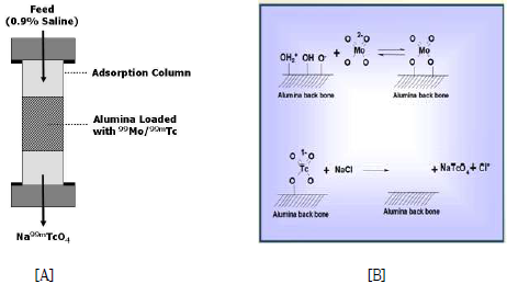 크로마토그래피법에 의한 99Mo/99mTc Generator용 흡착 칼럼 (A) & 알루미나 층 표면에서의 몰리브덴과의 화학적 반응 구조 (B)