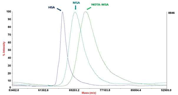 MALDI-TOF를 이용한 NOTA-MSA의 질량분석