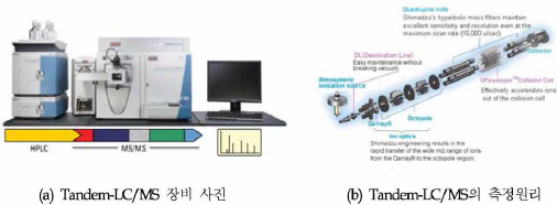 Tandem-LC/MS 장비 사진 및 측정 원리